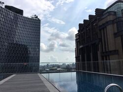 Duo Residences (D7), Apartment #290665551